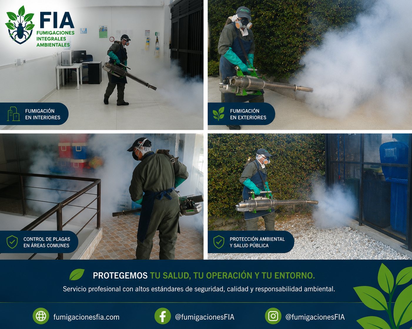 Mosaico de servicios profesionales FIA